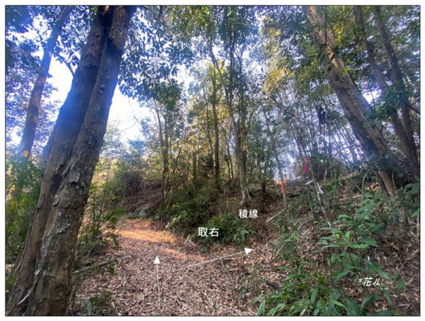 巴幸山、打鐵坑山、稍來坑山、和平14基石連走3018112