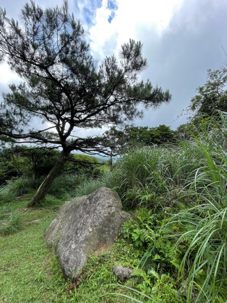 竹篙山山腰古道2204077