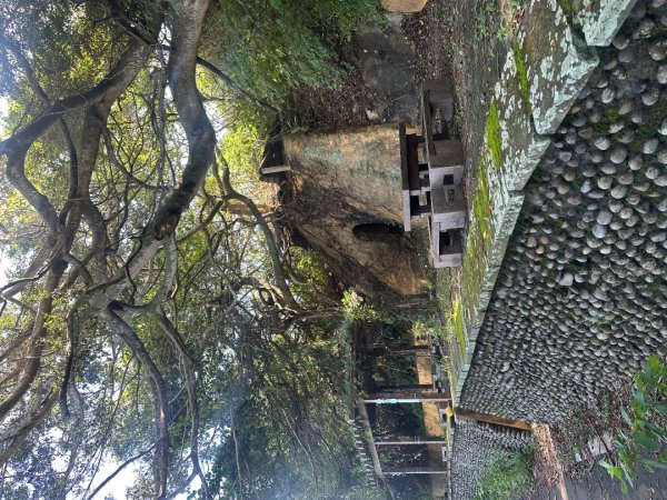 苗栗西湖-柚子山步道2615568