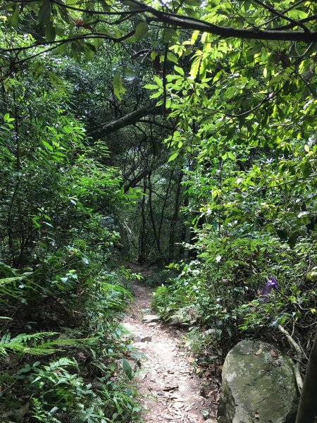 20161119_谷關七雄之四-波津加山873770