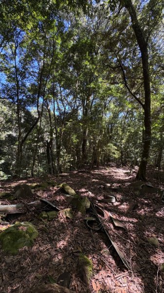 林鐵遺跡2878222