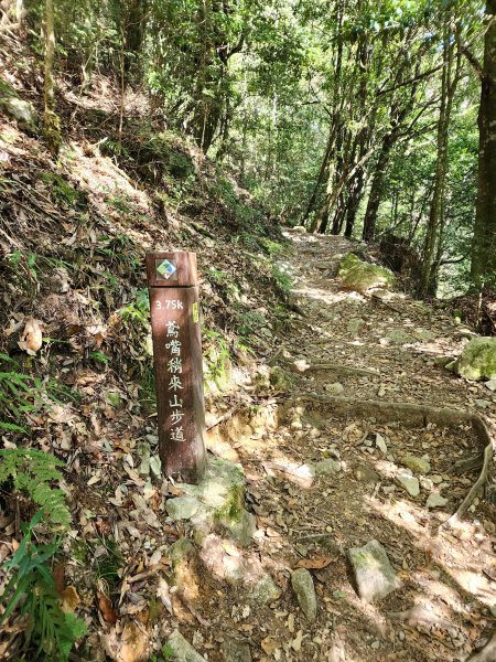 小百岳集起來-稍來山2181431