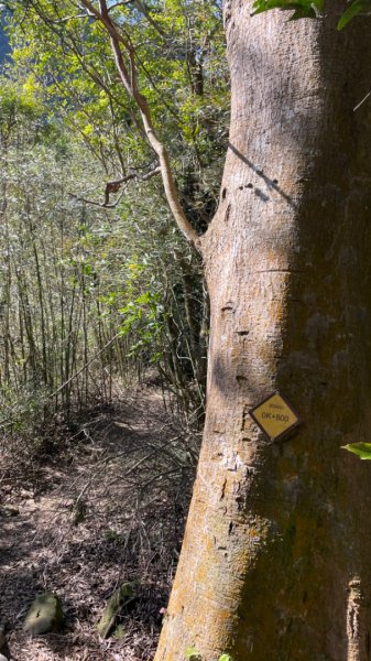 樟之細路-聖關段2686807