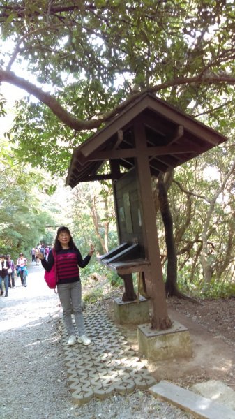 【臺北親山拓印趣】天母古道、中山北路853857
