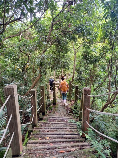 【台中潭子】爬山野餐趣。 新田登山步道x聚興山2899202