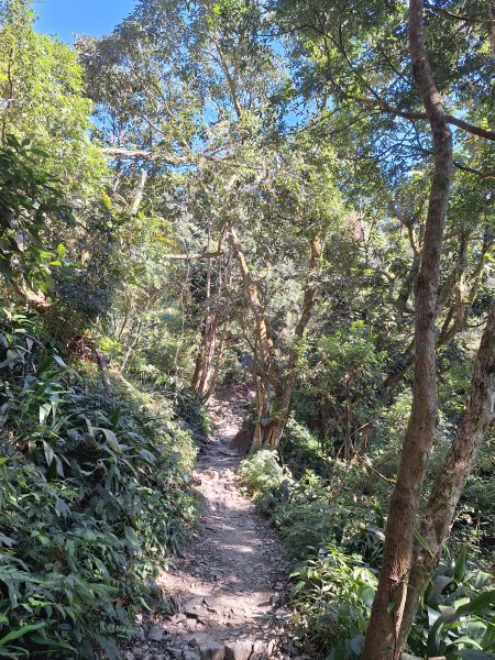 日湯真山202601042978568