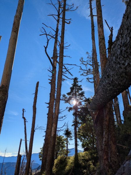 20250927雪山主東峰2916236