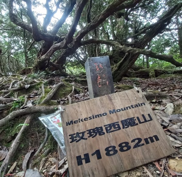 塔魔巴魔塔2698677