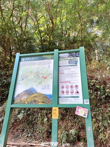 【高雄桃源】朝聖壯闊山景之南橫三星。 編號72百岳~塔關山登山步道2096648