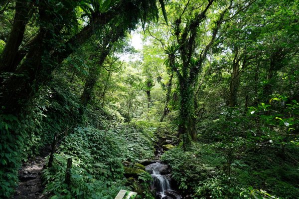 宜蘭 礁溪 三角崙山2548287