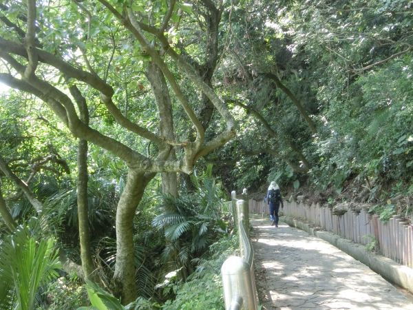 貴子坑水土保持園區．親山步道．露營場168385