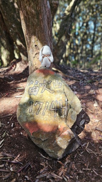 【細說大雪山木馬古道】橫嶺山、沙蓮山、笛吹山O繞2921099