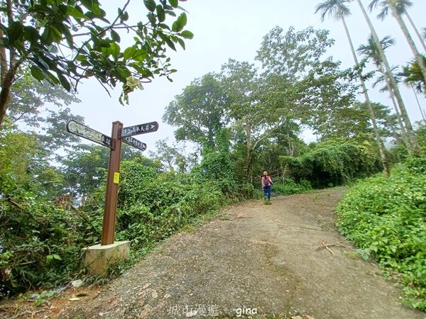 【嘉義竹崎】說好的稜線風景呢。阿拔泉山稜線步道連走獨立山O繞2684138
