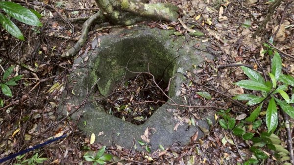 20250413浸水營古道2760334