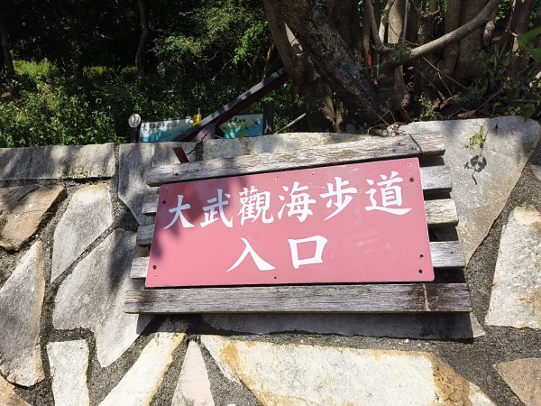 [漫遊縱谷 愛在花東-01/10] 2025_1011 大武觀海步道2912899