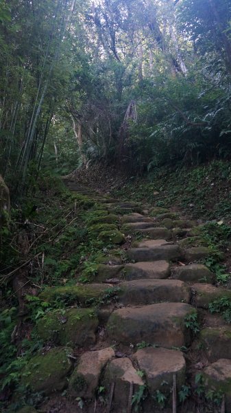 打鐵寮 草嶺山 石龜坑山 白石山連走1265220