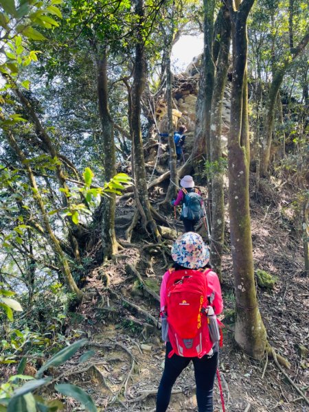 1140319仙山-仙山南峰2738235