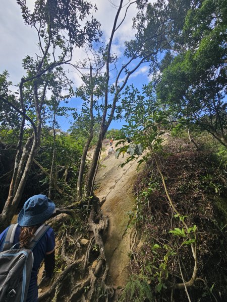 三峽五寮尖山2992022
