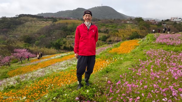 #平菁街 #鵝尾山梯田 #廣佑聖王廟 #寒櫻巷 #夕陽 1/24&252987022