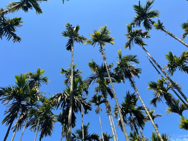 日月潭後尖頭社蹤走2748515