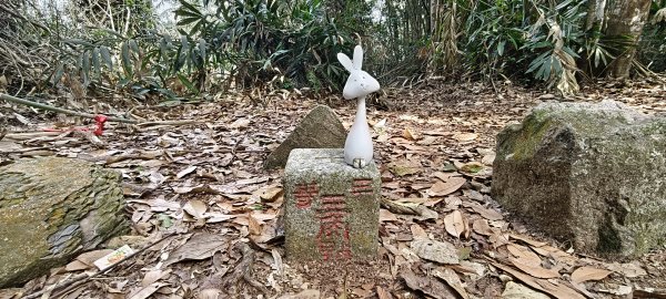 2026/03/15 白冷山步道