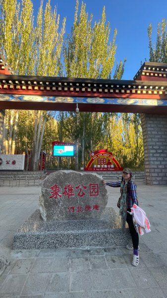 川藏318熱門的卡點-尼瑪-當惹擁措-大地之樹-雅丹地貌聖象天門2905173