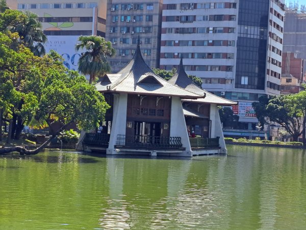 砲台山---台中公園散步去2338935