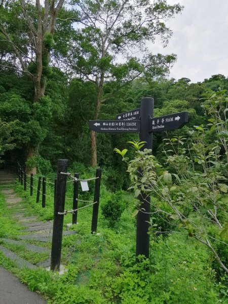 新竹峨眉~步道悠閒走。六寮古道1103295