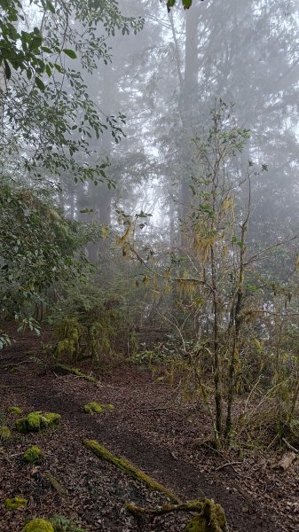 仙女散落的珍珠2723933