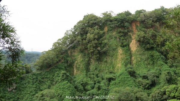 《彰化》稜線雙龍｜田中森林登山步道O型202506292824371
