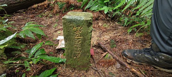 2025/11/02_大崎棟古道+騎龍古道+逃學步道2929071