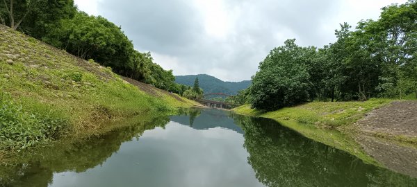 20230610_牛欄河河濱步道2178370