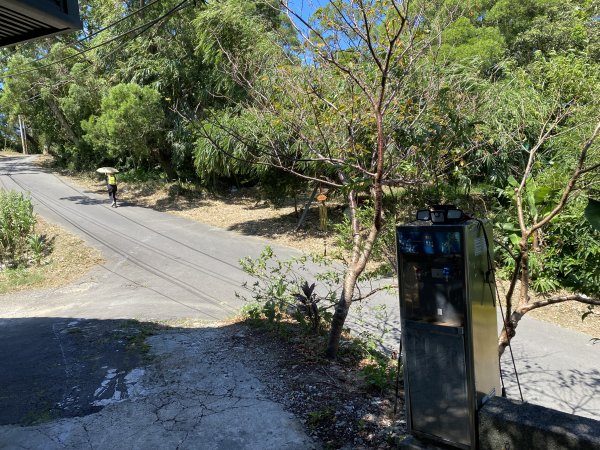 2025微笑山線大縱走尋寶集章任務-Ep.02【大棟山系】百年大榕樹2884769