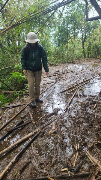 2025-01232淡蘭古道北二段(燦光寮古道到澳底)2696643