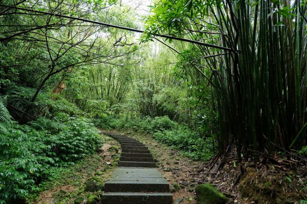 新北 瑞芳 頂子寮山、五分山2615512