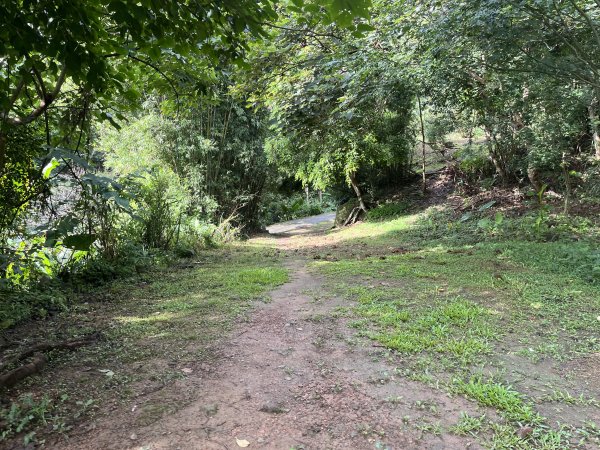 [皮皮獅探險隊-01/10] 2025_0706 六寮古道2830748