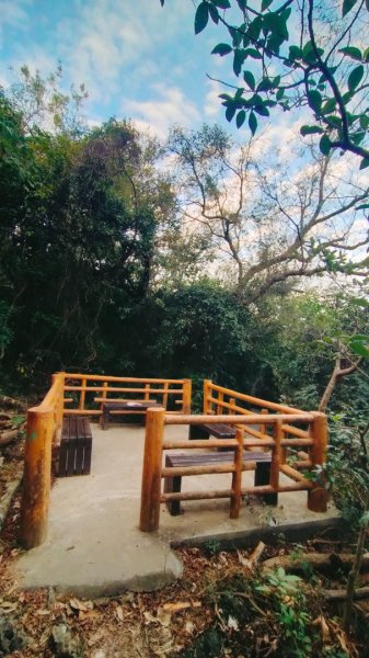 柴山夜爬看夕陽2993423