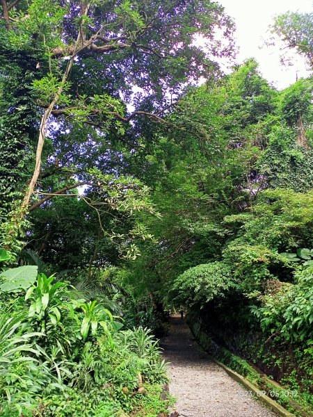 天母古道、內湖大港墘公園、文間山登山口、劍南路潛園【走路趣尋寶、健康大穀東】2273612