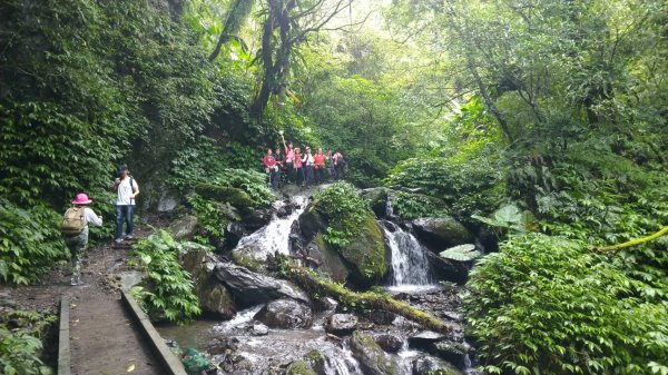 宜蘭聖母山莊步道(抹茶山)1079019