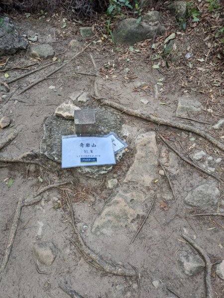 20230304 奇岩山，唭哩岸山，軍艦岩，磺溪山，丹鳳山2054383