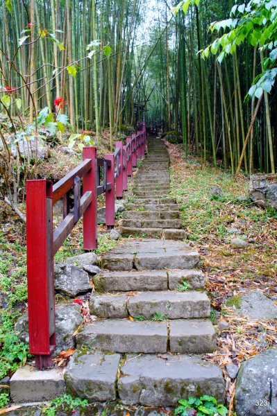 阿里山豐山村石盤谷672367