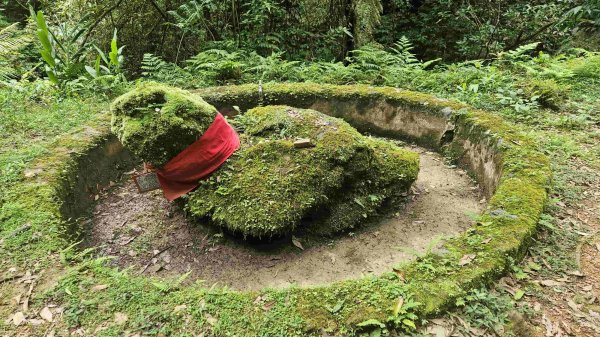 20250523千階嶺步道-平湖東西步道-乾坑古道2796215