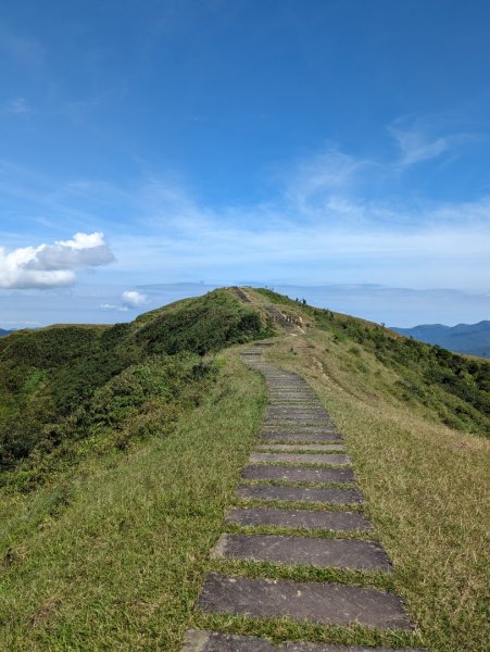 20230722 草嶺-桃源谷縱走2233433