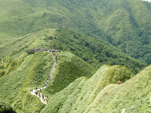 20200905 抹茶山 三角崙山1094044