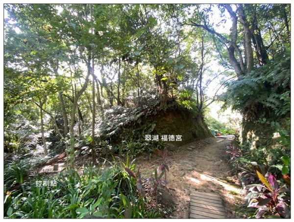 金龍湖、鷹石尖、老鷲尖、內溝山 O型一圈2966674