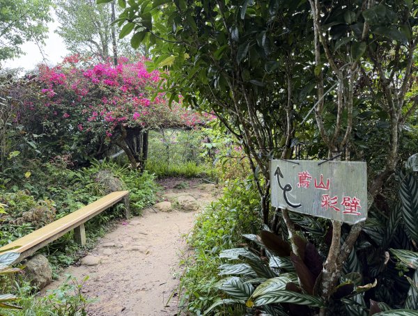 [微笑山線_第三段] 2026_0328 鳶山山系_福德坑山3025581