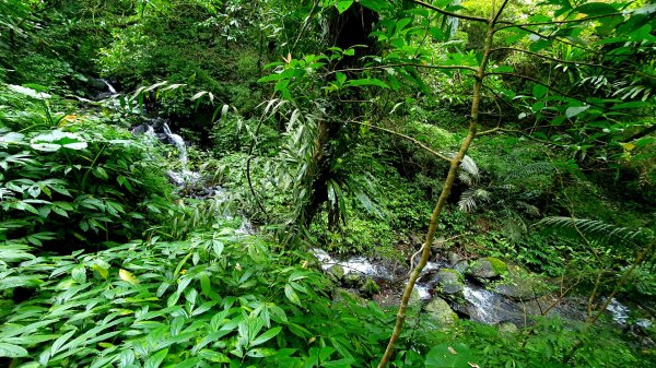 抹茶山，聖母登山步道，隆隆山，福卯古道，水柳腳登山步道，觀音台步道，北勢溪自行車道1742236