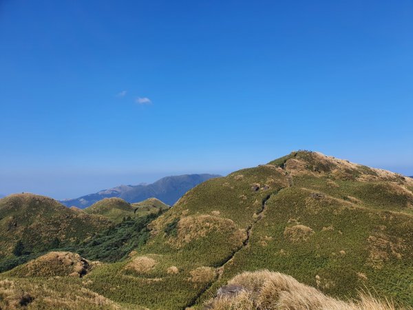 七星山主、東峰登山步道（小百岳）1275258