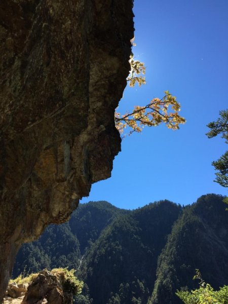 玉山西峰、主峰行452250