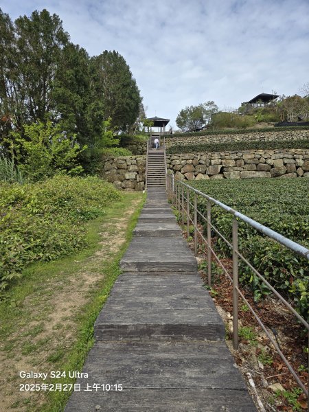 2025-02-27二延平步道2725415